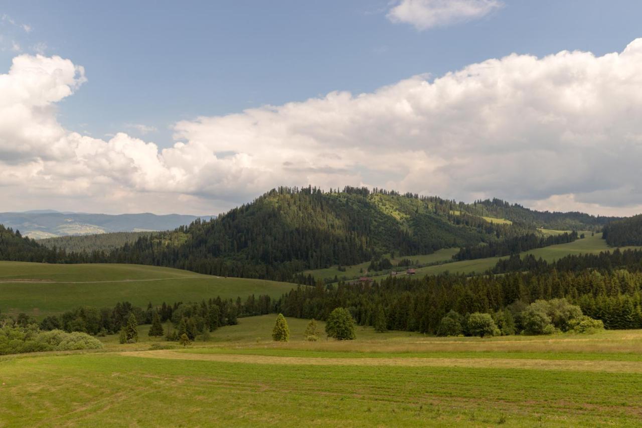 Domki Sowka Dursztyn Exteriér fotografie